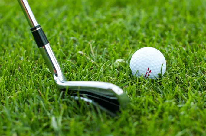Postemergence Weed Control on Golf Courses