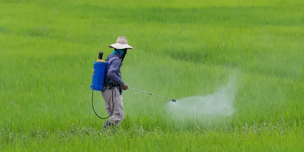 Pesticide Drift from Spray applications
