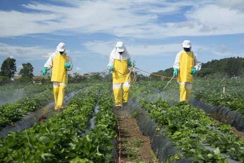 Team spraying pesticides in field