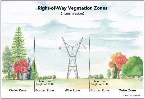 process of vegetation zones - vegetation management