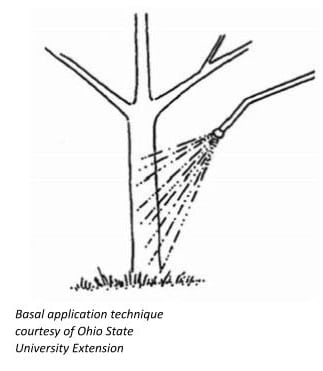 a drawing of basal application technique sample