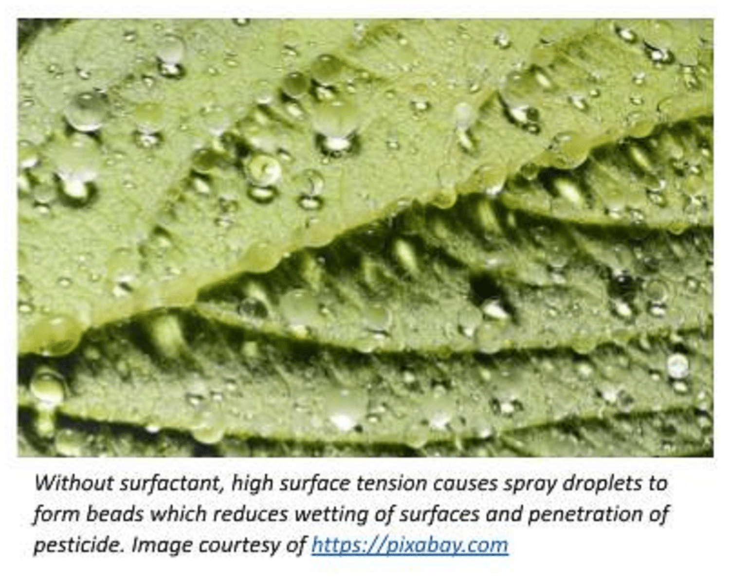 spray droplets formed because of high surface tension