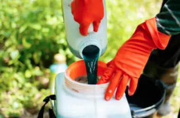Emulsifying Agents for Pesticide Use